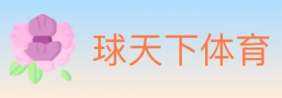 球天下体育 logo